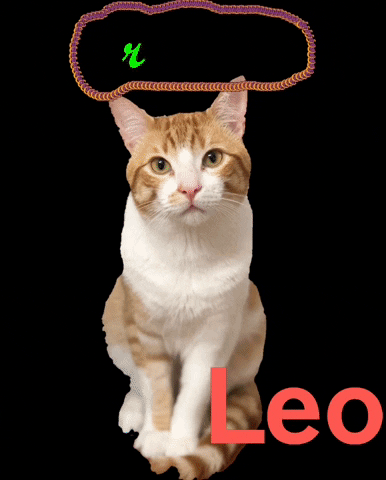 Leo GIF by Cinco y Más