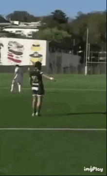 SMR_pro GIF