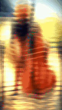 Bee Violin GIF