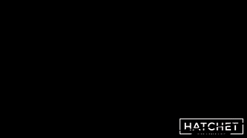 DharmaGames action video game steam indie GIF