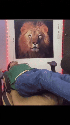 Meme GIF