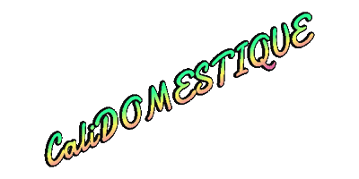 Calidomestique Sticker