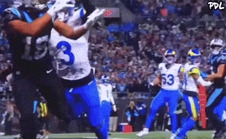 Carolina Panthers GIF by The Undroppables