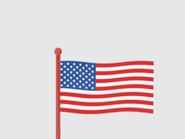 American Flag Army GIF