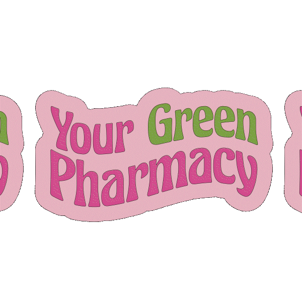 Healthyfood Superfoods Sticker by MATCHA BAR