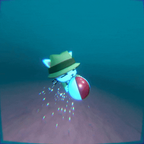 Cat Summer GIF