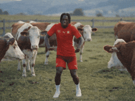 Football Soccer GIF by Herr Fuchs Zurich
