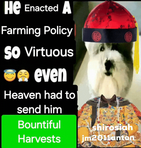 Qing Dynasty Dog GIF