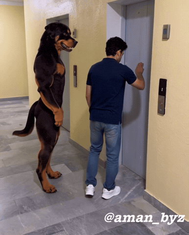 Amanbyz GIF