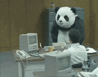 Angry Panda GIFs - Find & Share on GIPHY