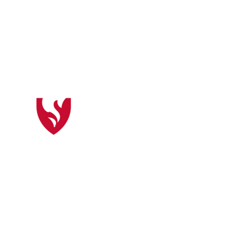 Ski Valais Sticker