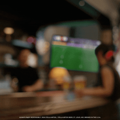 Lets Go Cheers GIF by Stella Artois