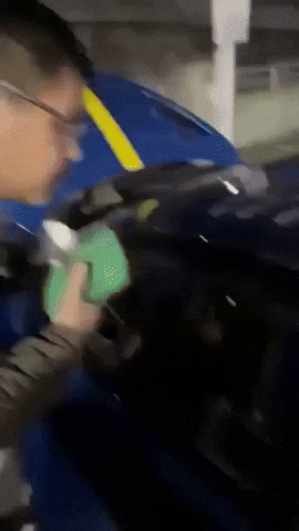 Bateuros GIF