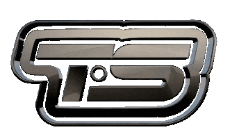 Race Ts Sticker by tssports