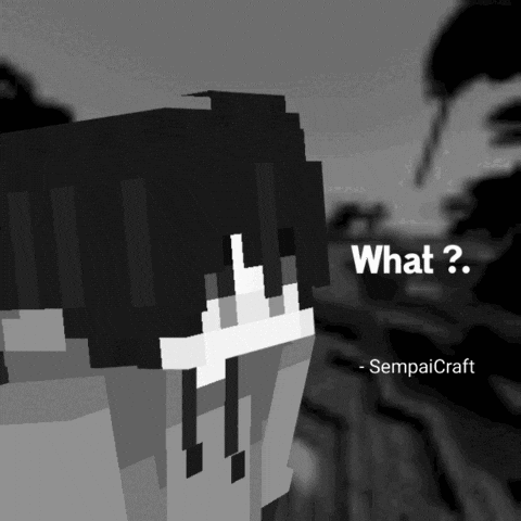 Wait What GIF