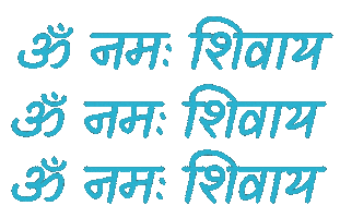 Maha Shivratri India Sticker by Sonamm