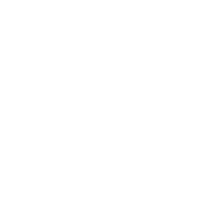 Fuji Sticker