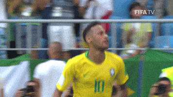 Celebrate Lets Go GIF by FIFA