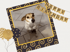 WuffLecker GIF