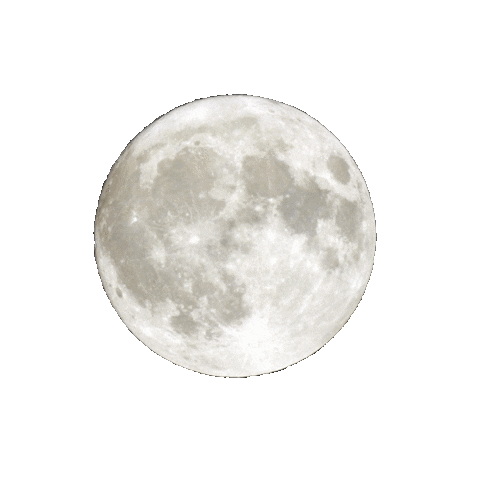 Harvest Moon Sticker by Poolside