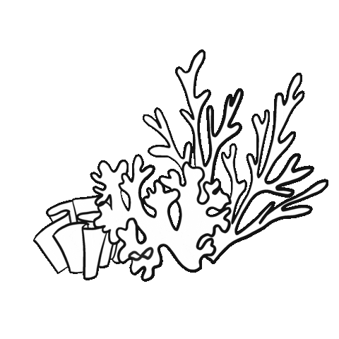 Coral Christinaitjustworks Sticker by nickol_russia