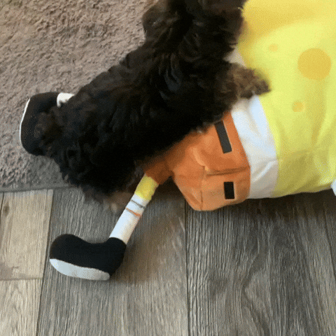 Dog GIF