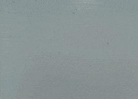 Loop Water GIF by louismor
