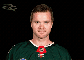 Minnesota Wild GIF by Respective
