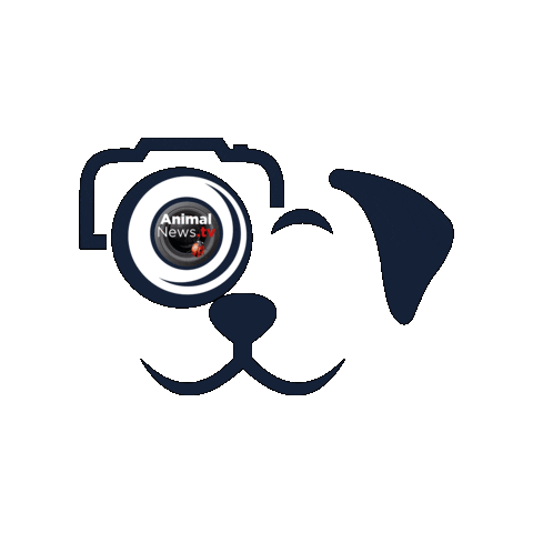 Dog Photo Sticker by AnimalNewsTV