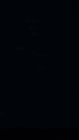 GIF by Studiocanal Germany