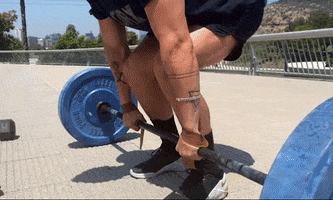 ORXfit GIF