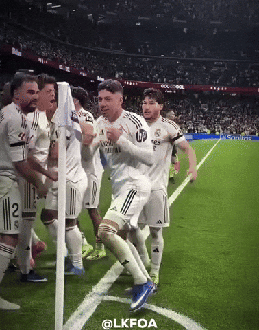 Real Madrid Fight GIF